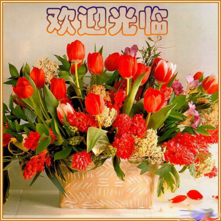 欢迎光临 欢迎光临