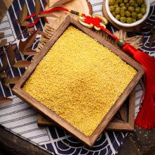 隆化小米 隆化小米