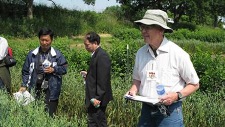 深入研究 深入研究