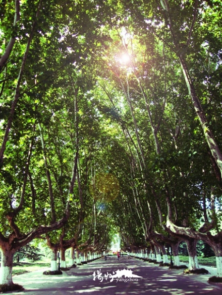 扬州大学文汇路校区 扬州大学文汇路校区