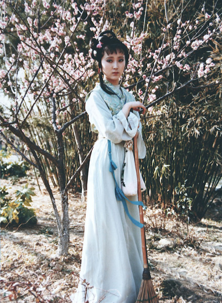 林黛玉葬花(87版红楼梦剧照) 林黛玉葬花(87版红楼梦剧照)