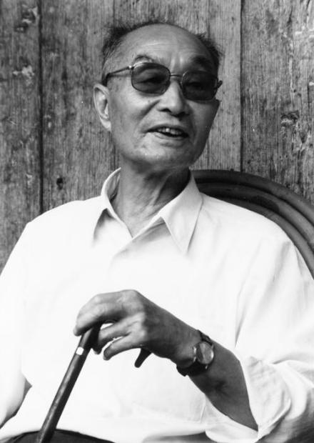 张爱萍将军 张爱萍将军