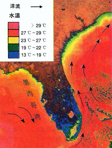 墨西哥湾暖流 墨西哥湾暖流