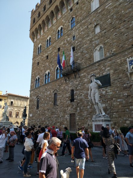 著名的大卫雕像 著名的大卫雕像