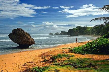 巴巴多斯海边风景 巴巴多斯海边风景
