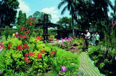 新加坡植物园 新加坡植物园
