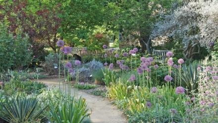 植物园一角 植物园一角