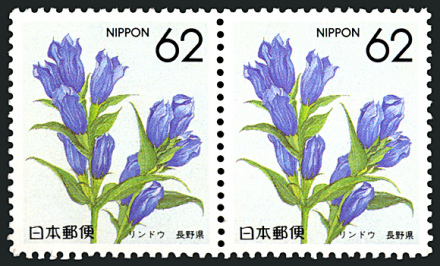 长野县首府远景图3 长野县首府远景图3