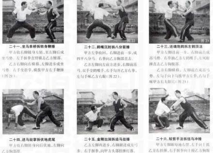 虎鹤双形拳图解 虎鹤双形拳图解