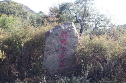 魏塔古村落-原生态 魏塔古村落-原生态