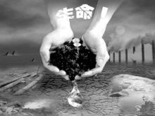 生命的奇迹 生命的奇迹