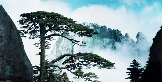 安徽黄山迎客松 安徽黄山迎客松