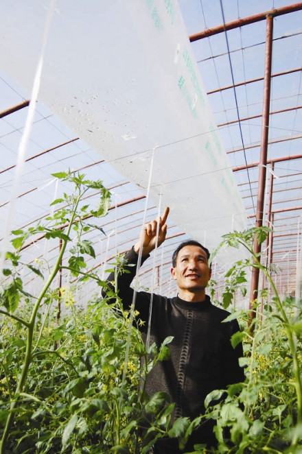 塑料大棚 塑料大棚