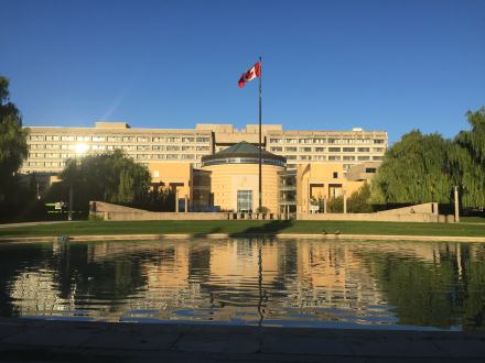 约克大学 约克大学