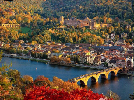 海德堡大学 海德堡大学