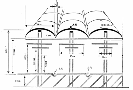 葡萄避雨棚架 葡萄避雨棚架