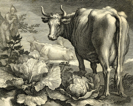 馆藏艺术家Abraham Bloemaert作品 馆藏艺术家Abraham Bloemaert作品