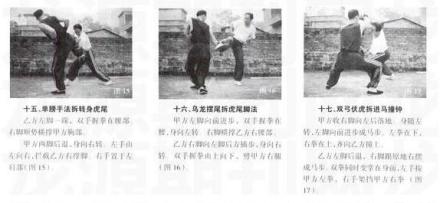 虎鹤双形拳图解 虎鹤双形拳图解