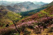 毛岭沟风景区 毛岭沟风景区