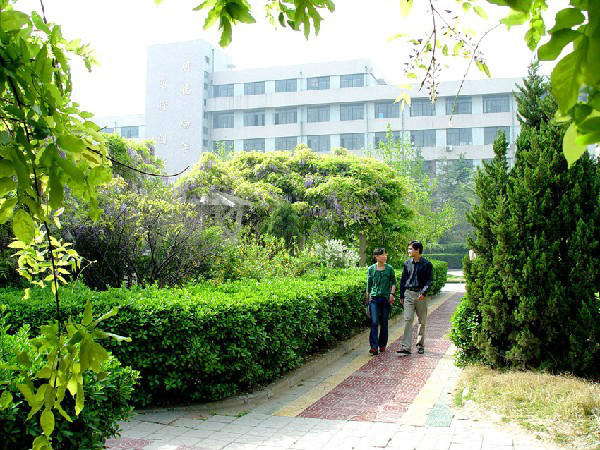 晋安路校区林荫小道