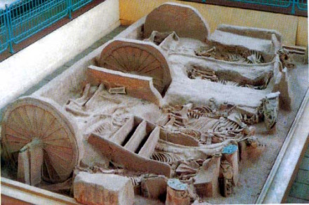 西周车马遗骸
西周车马遗骸