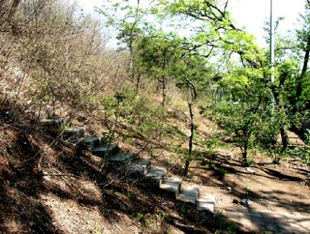 元大都西城桓土城遗址 元大都西城桓土城遗址