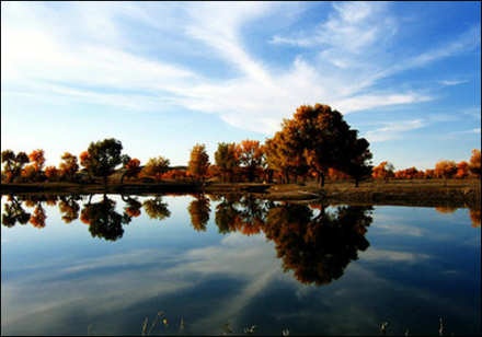 库车风景 库车风景