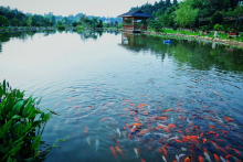 锦绣江南生态农庄