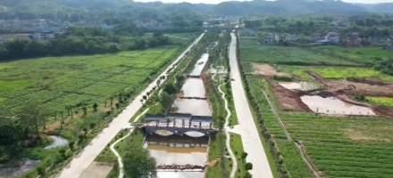 兴宁市农业 兴宁市农业