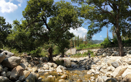 临沂蒙山大洼 临沂蒙山大洼