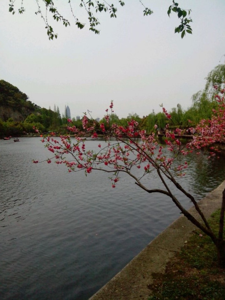绍兴文理学院 绍兴文理学院