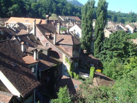 伯尔尼居民 伯尔尼居民