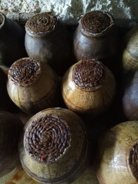 封坛发酵 封坛发酵