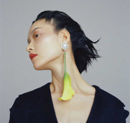 模特杜鹃 模特杜鹃