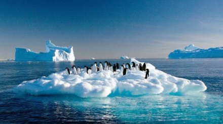 全球变暖导致地球生态系统发生巨大变化 全球变暖导致地球生态系统发生巨大变化