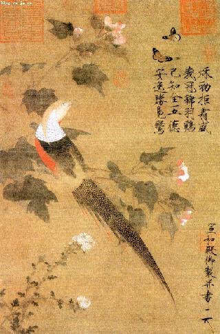 芙蓉锦鸡图 芙蓉锦鸡图