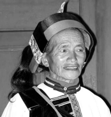 传承人王玉芳 传承人王玉芳