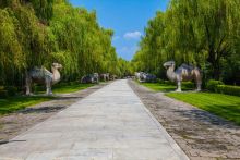 神路风光 神路风光