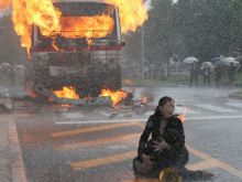松雪泰子 电影图册 松雪泰子 电影图册