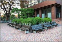 合并图册 合并图册