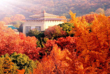 武大校园 武大校园