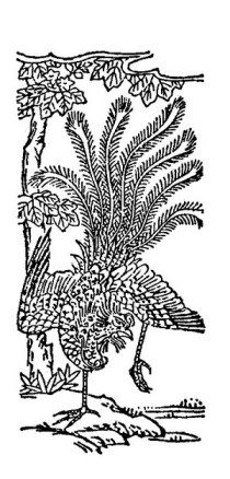 清·和汉三才图会