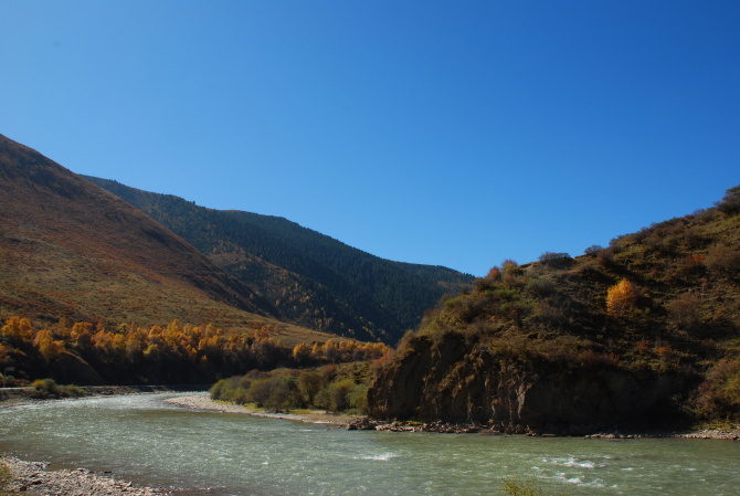 麻尔柯河青海省班玛县玛柯河林场段