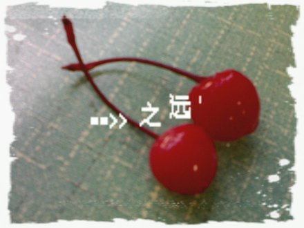 樱桃之远 樱桃之远