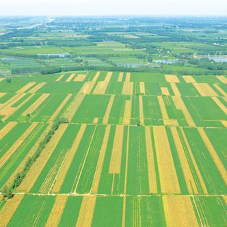 长江中下游平原 长江中下游平原
