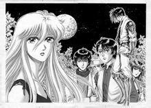 雪椰内页 雪椰内页