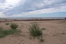 莫力庙水库 莫力庙水库