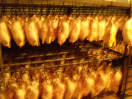 北京十大特色烤鸭店——鸭王 北京十大特色烤鸭店——鸭王