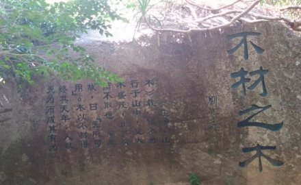 不材之木 不材之木