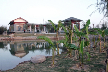 刘禹锡相关图片 刘禹锡相关图片